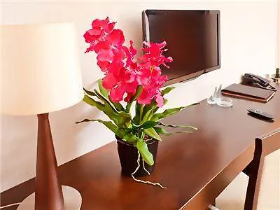 Intercity Porto Alegre Cidade Baixa Hotel